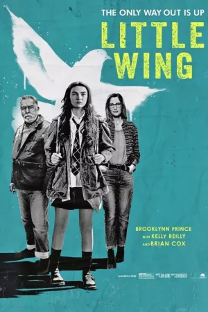 Little Wing (2024)